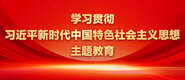 插我骚逼18学习贯彻习近平新时代中国特色社会主义思想主题教育_fororder_ad-371X160(2)